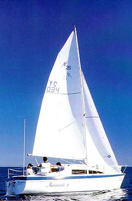Austral Noelex 25 — фото 1 из 2