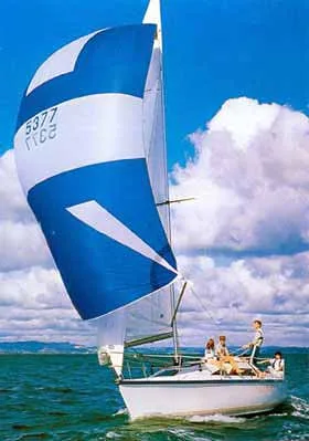 Austral Noelex 30 — фото 1 из 2