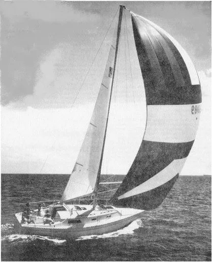 Irwin Irwin 30 Citation — фото 1 из 1