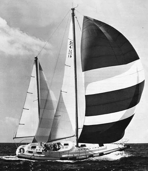 Morgan Morgan Out Island 41 — фото 1 из 2