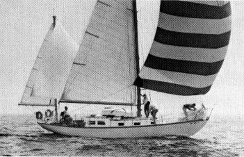 Pearson Rhodes 41 — фото 1 из 2