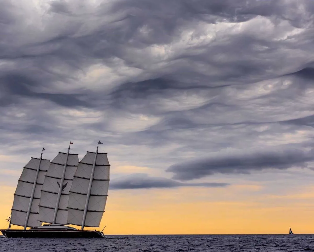 Perini Navi The Maltese Falcon — photo 6