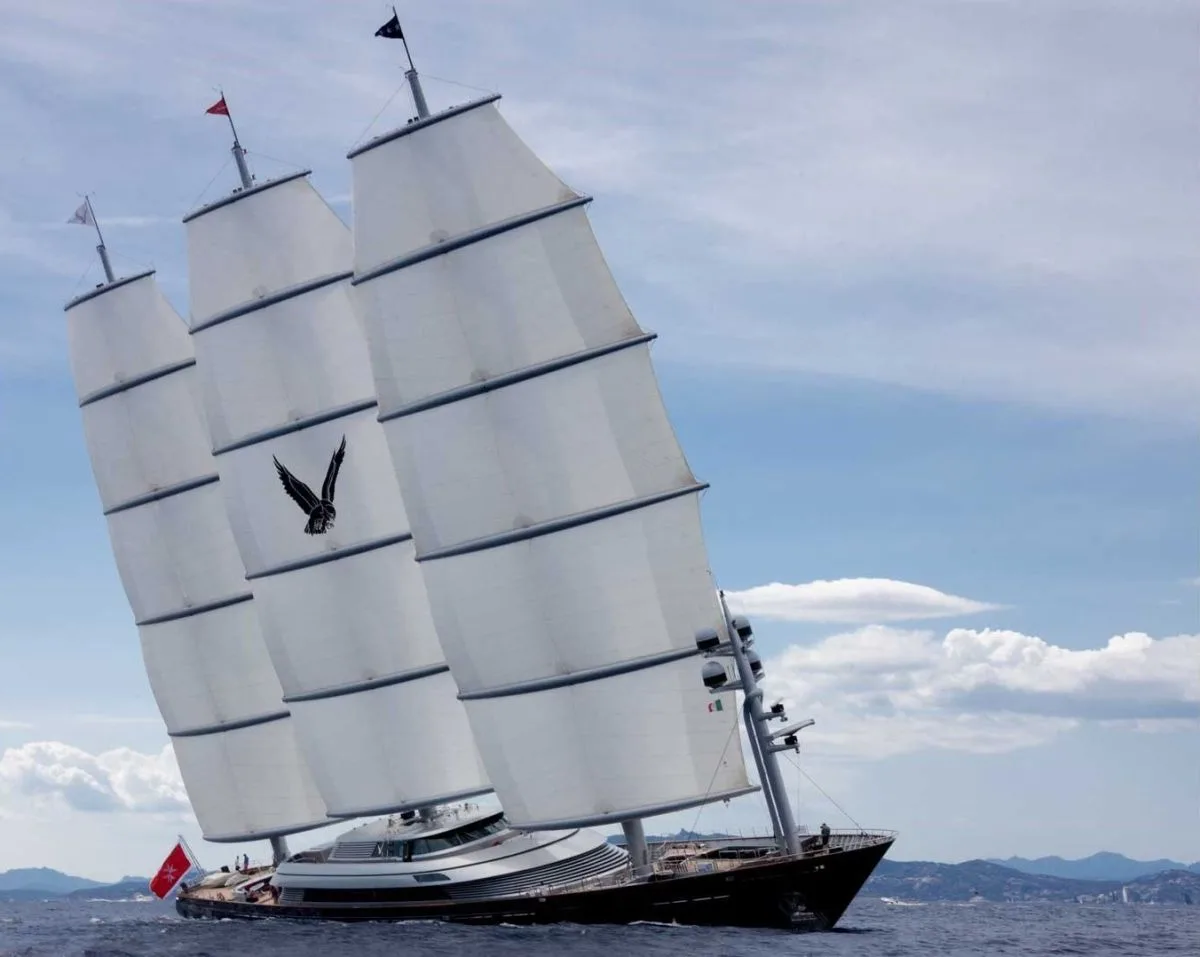 Perini Navi The Maltese Falcon — photo 4