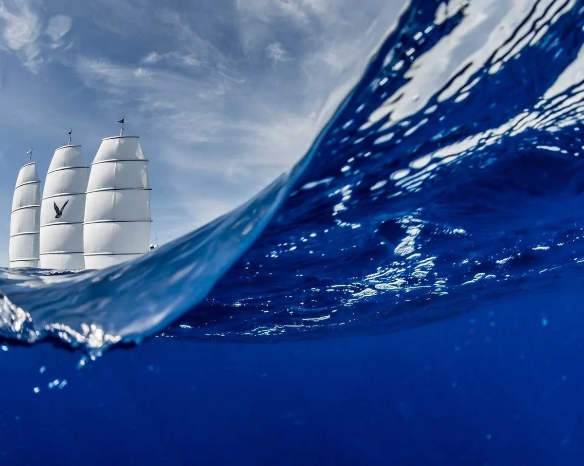 Perini Navi The Maltese Falcon — photo 8