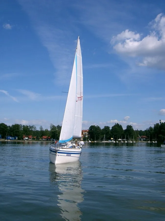 Tes 550 Master — photo 7