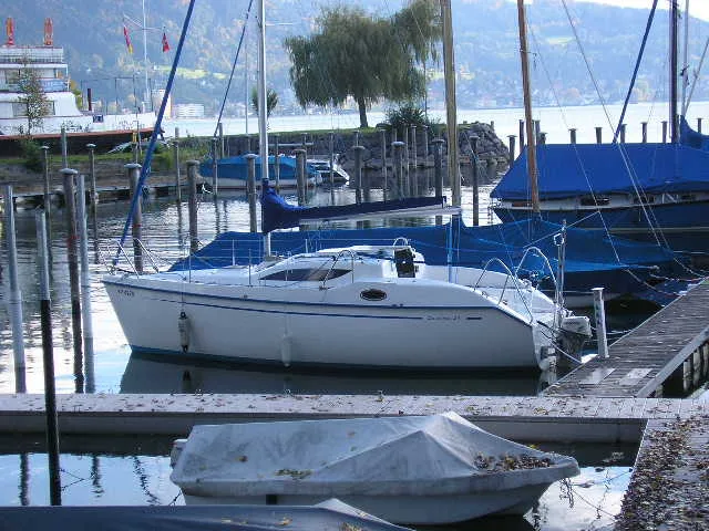 Viko 27 DS — photo 8