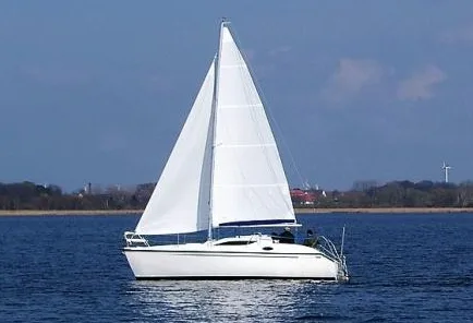 Viko 27 DS — photo 7
